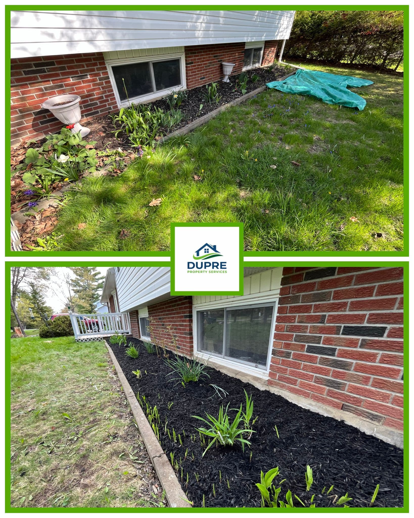 Eco-Friendly Garden Transformation