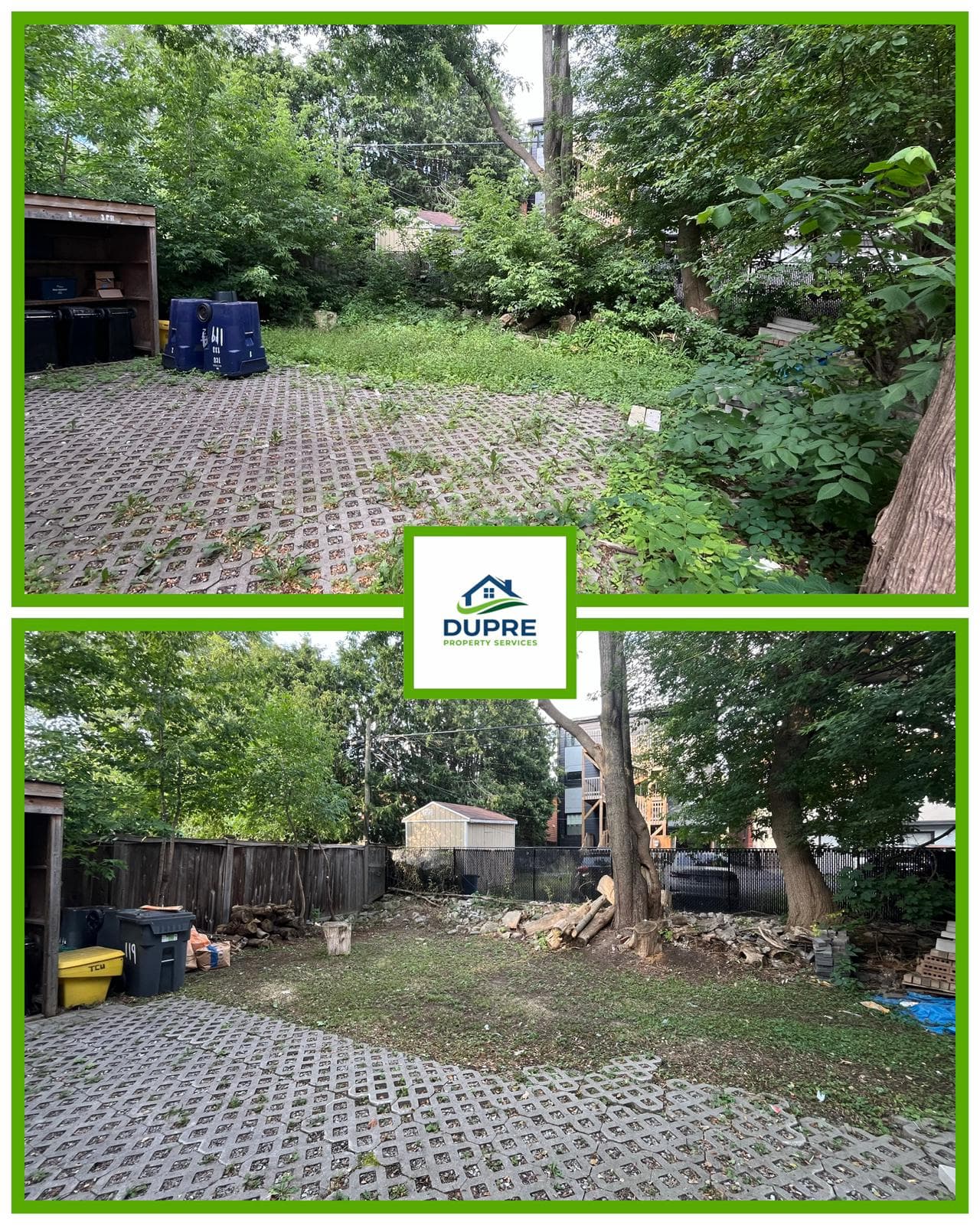 Back Yard Clean up
