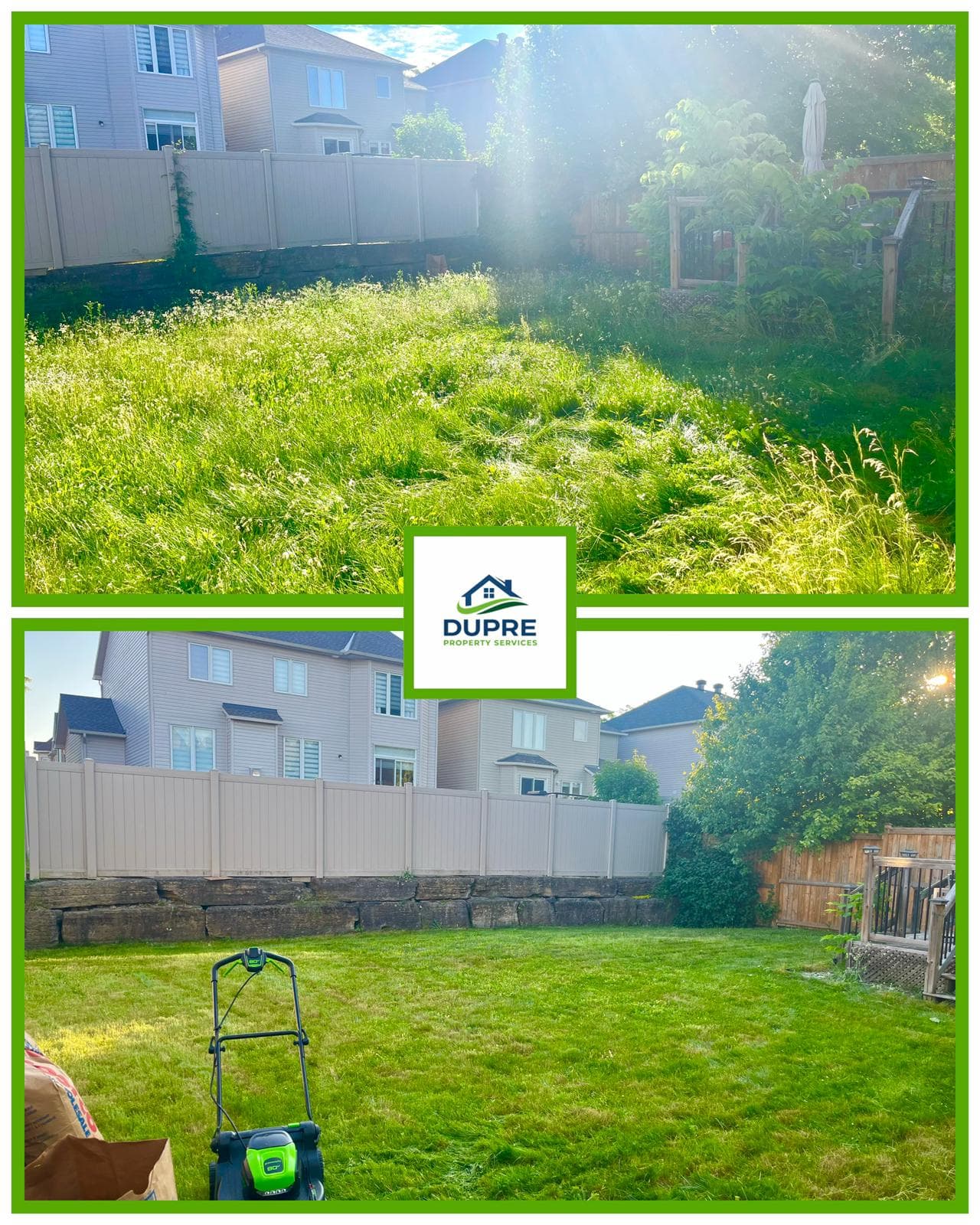Back Yard Restoration