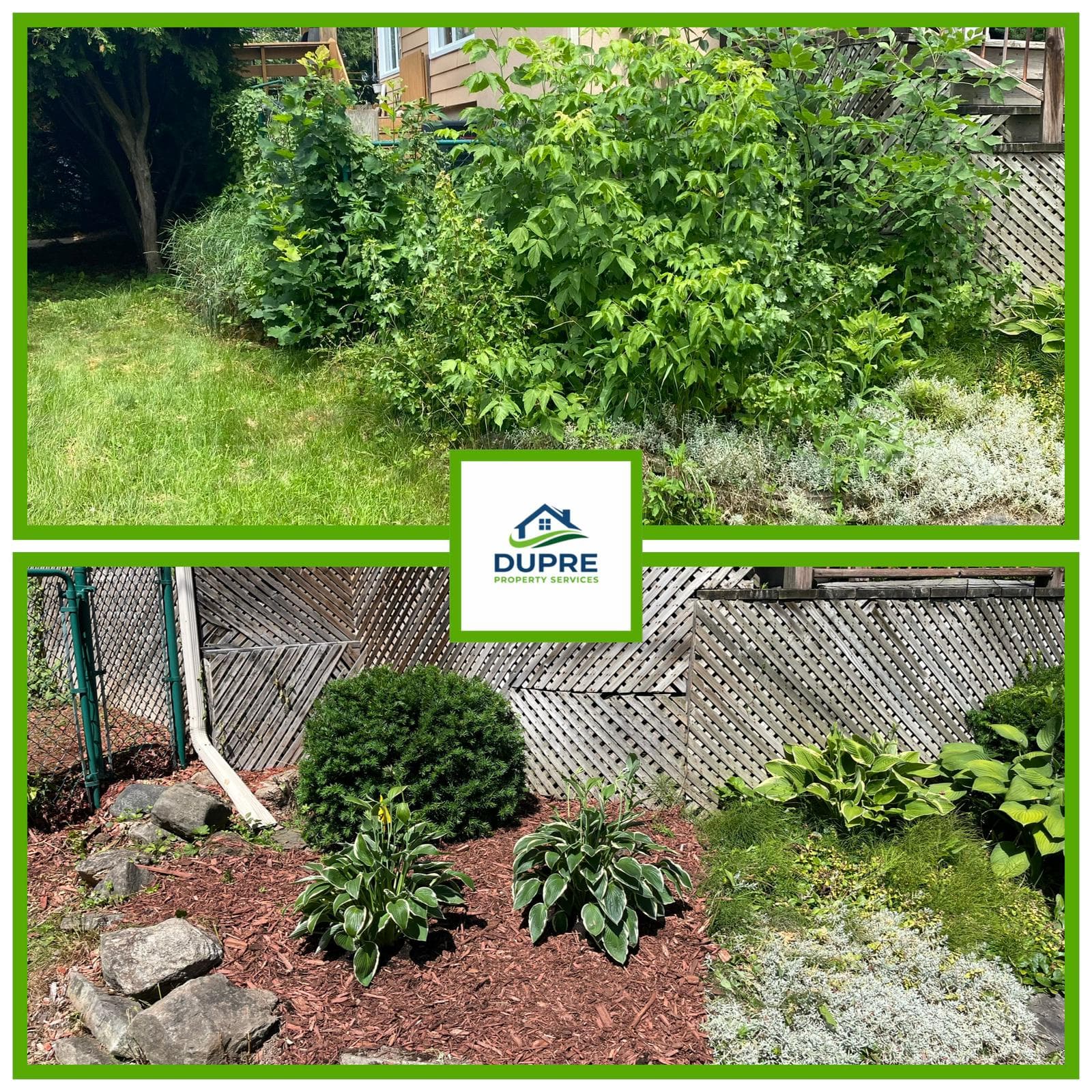 Garden Bed Transformation