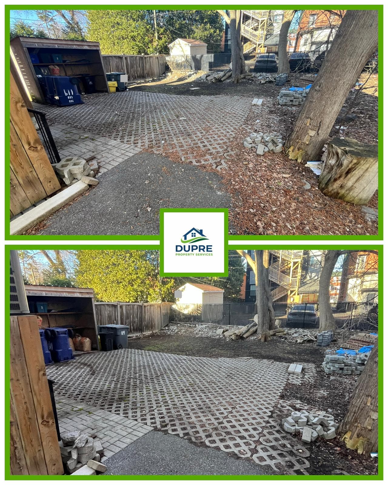 Back Yard Clean up
