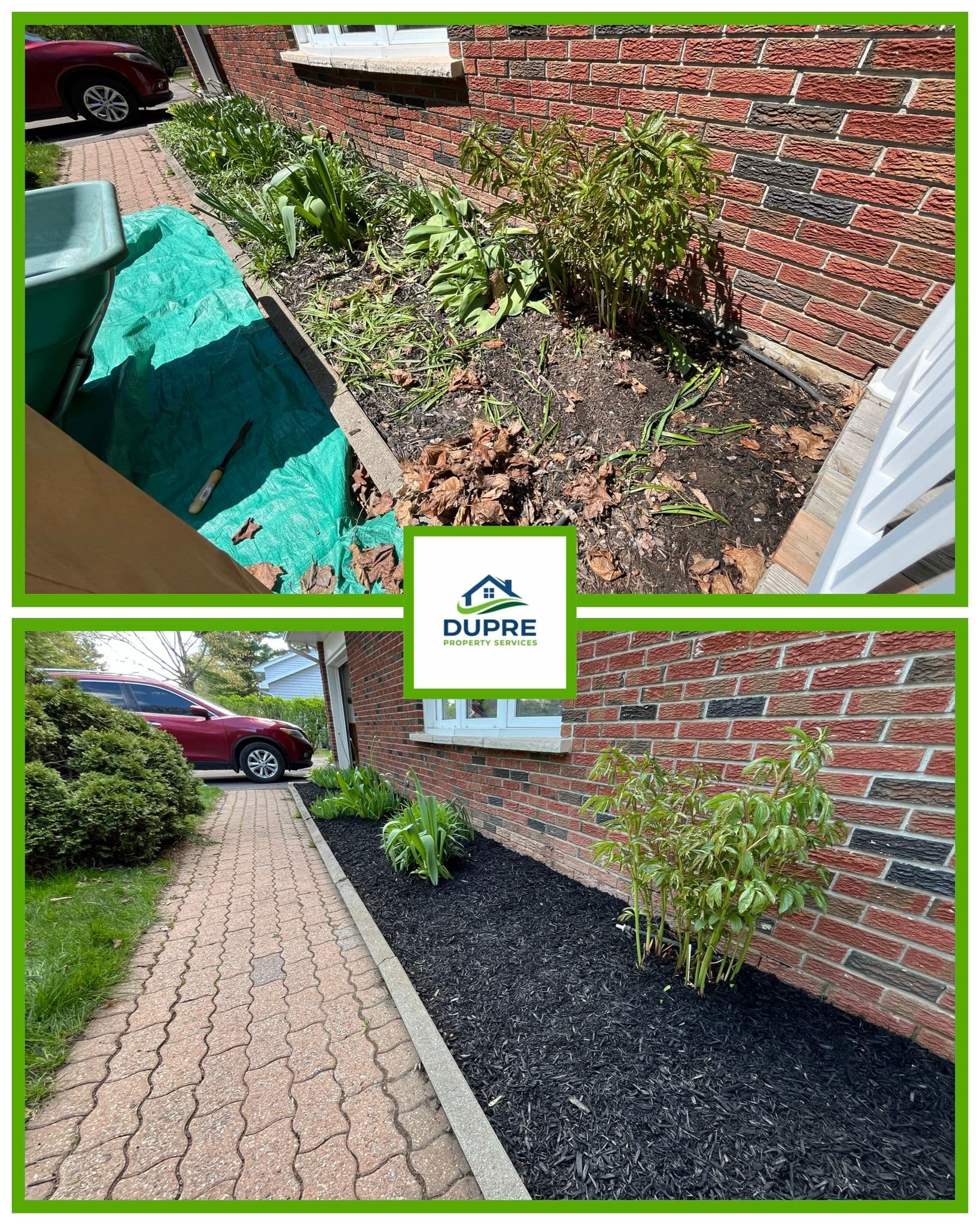 Perennial Garden Revitalization